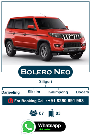 bolero_neo