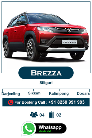 brezza