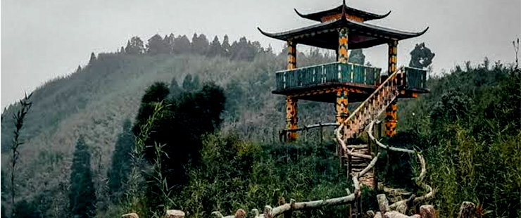 Darjeeling 8N 9D car rental package