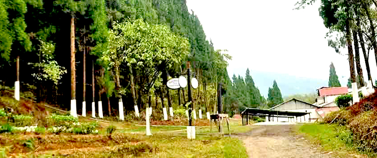Dooars 6N 7D complete car rental package