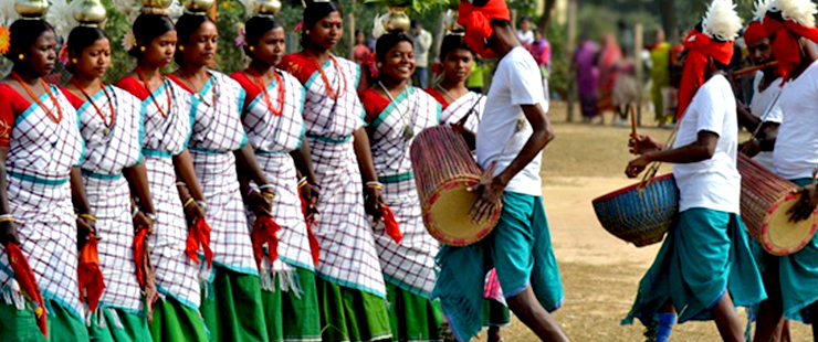 Dooars 7N 8D complete Dooars tour package