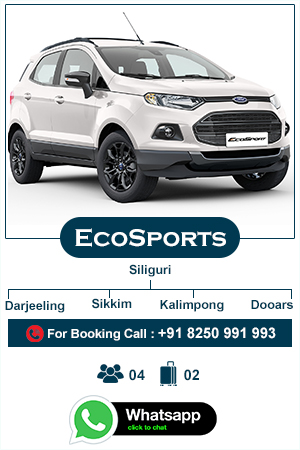 ecosports