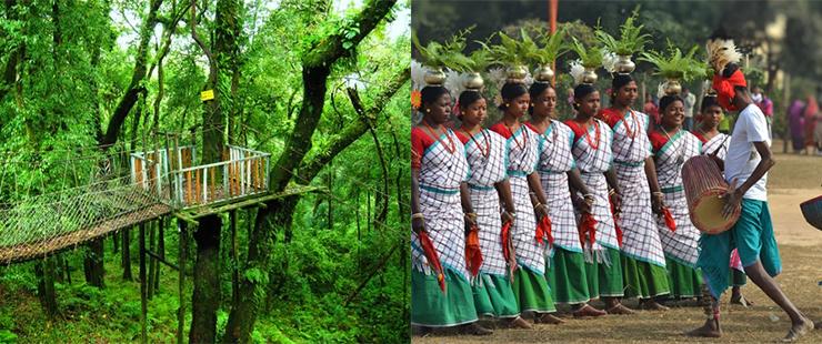 Kalimpong Lava Dooars 7N 8D combined car rental