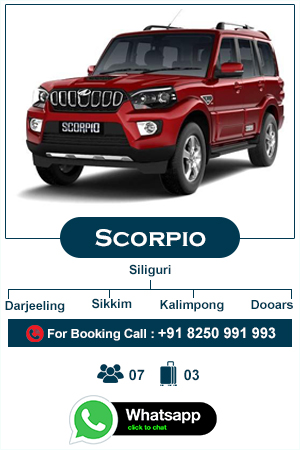 scorpio