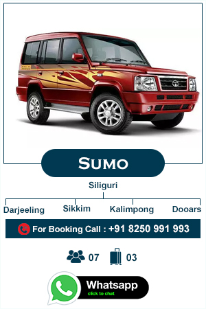 sumo