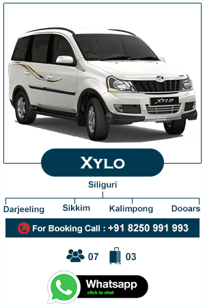 xylo